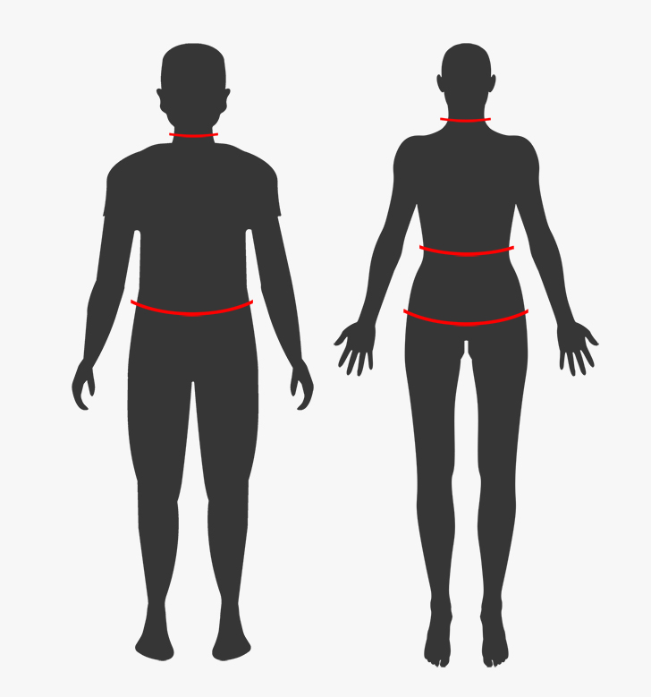 Gráfico explicativo para medir cuerpo.